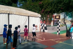 PHOTO (22)
