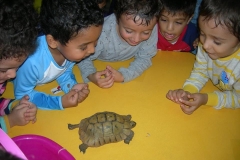 PHOTO (5)