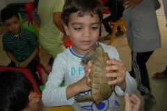 PHOTO (9)